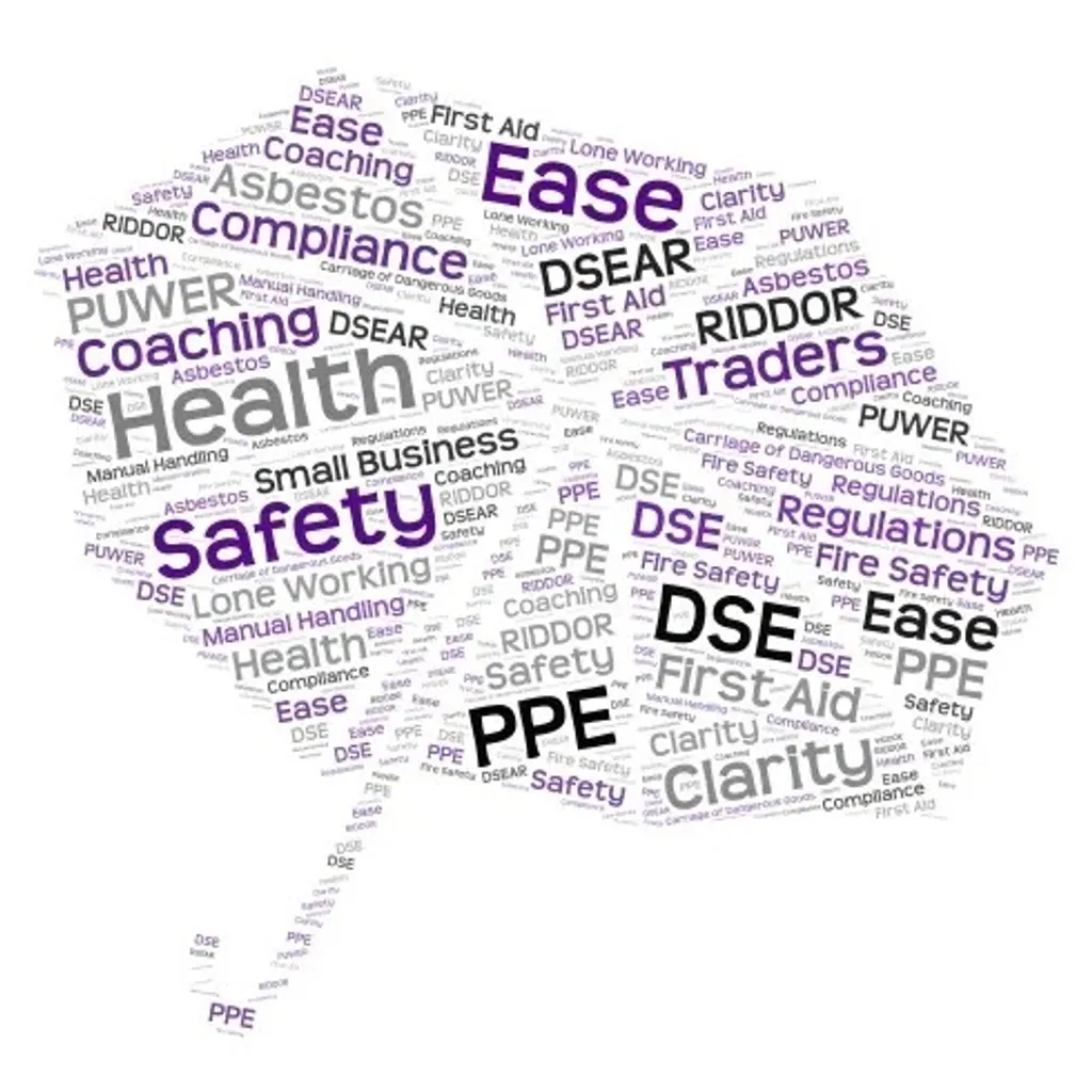 Health and Safety Compliance Awareness for Sole Traders and Small ﻿Businesses